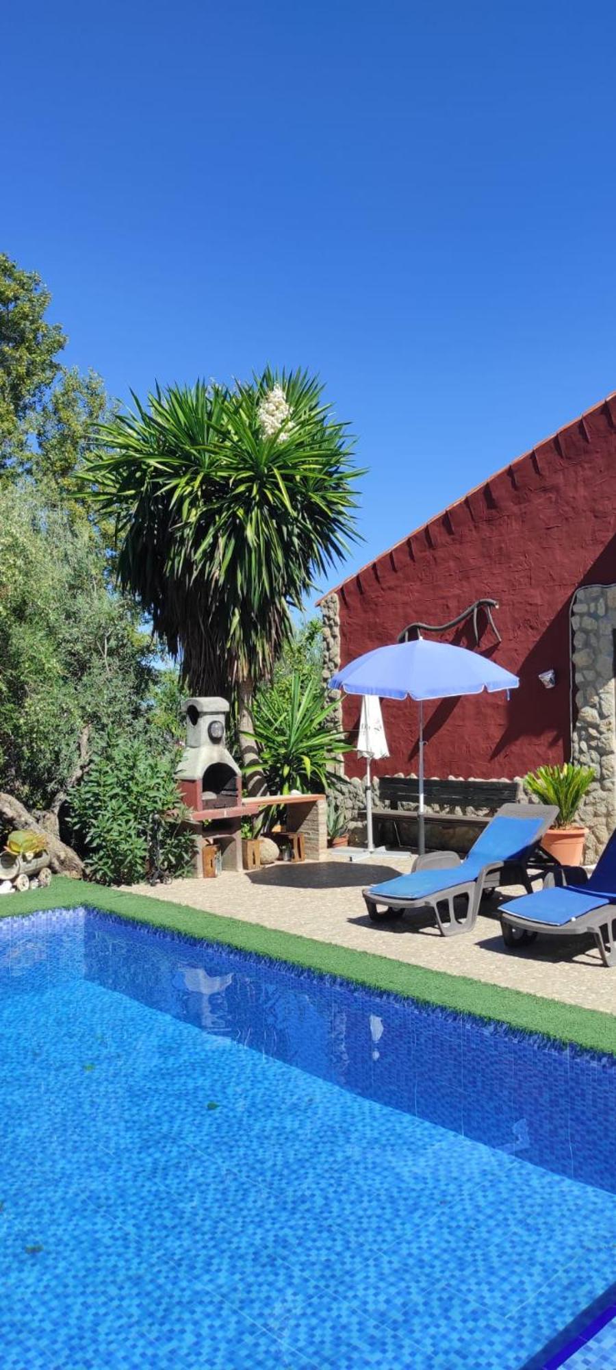 Casa Rural La Higuera 埃尔加斯托尔 外观 照片